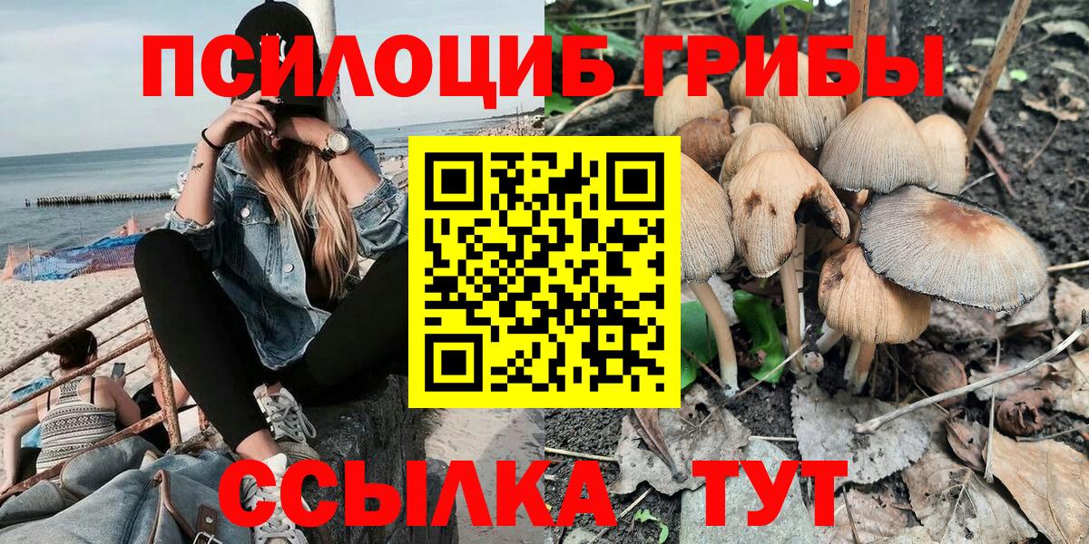 продажа наркотиков  Галлюциногенные грибы мицелий  Вход с VPN  Новороссийск 