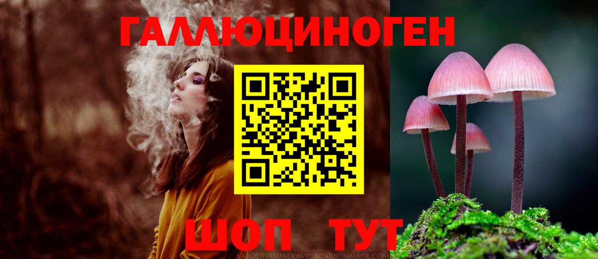 Галлюциногенные грибы Cubensis Новороссийск